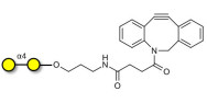 α1-4 galactobiose with DBCO (Linker-DBCO A)