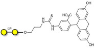 α1-4 galactobiose linked to fluorescein (Linker-FLUO A)