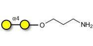 α1-4 galactobiose with free terminal amine (Linker-NH2 A)