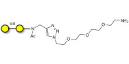 α1-4 galactobiose with free terminal amine (Linker-NH2 B)
