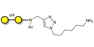 α1-4 galactobiose with free terminal amine (Linker-NH2 D)