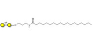 α1-4 galactobiose with stearic chain (Linker-STEA A)