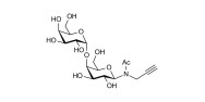 α1-4 galactobiose with terminal alkyne (Linker-CΞCH A)