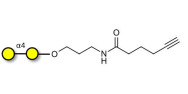 α1-4 galactobiose with terminal alkyne (Linker-CΞCH C)