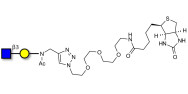 GlcNAcβ1-3Gal linked to biotin (Linker-BT A)