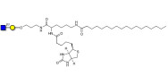 GlcNAcβ1-3Gal linked to biotin and stearic chain (Linker-BT-STEA A)