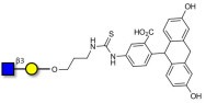 GlcNAcβ1-3Gal linked to fluorescein (Linker-FLUO A)