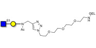 GlcNAcβ1-3Gal grafted on gel for affinity chromatography (Linker-GEL A)