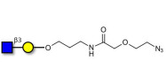 GlcNAcβ1-3Gal with terminal azide (Linker-N3 B)