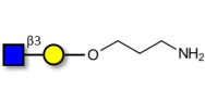 GlcNAcβ1-3Gal with free terminal amine (Linker-NH2 A)