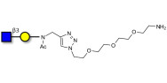 GlcNAcβ1-3Gal with free terminal amine (Linker-NH2 B)