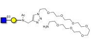 GlcNAcβ1-3Gal with free terminal amine (Linker-NH2 C)
