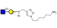GlcNAcβ1-3Gal with free terminal amine (Linker-NH2 D)