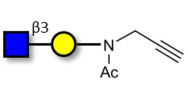 GlcNAcβ1-3Gal with terminal alkyne (Linker-CΞCH A)
