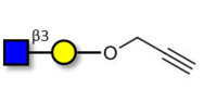 GlcNAcβ1-3Gal with terminal alkyne (Linker-CΞCH B)