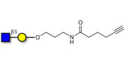 GlcNAcβ1-3Gal with terminal alkyne (Linker-CΞCH C)