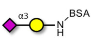 GM4 Ganglioside oligosaccharide grafted on BSA