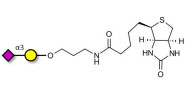 GM4 Ganglioside oligosaccharide linked to biotin (Linker-BT B)