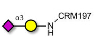 GM4 Ganglioside oligosaccharide grafted on CRM197