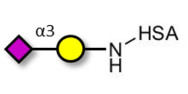 GM4 Ganglioside oligosaccharide grafted on HSA