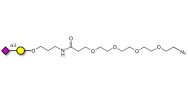 GM4 Ganglioside oligosaccharide with terminal azide (Linker-N3 A)