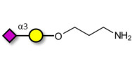 GM4 Ganglioside oligosaccharide with free terminal amine (Linker-NH2 A)
