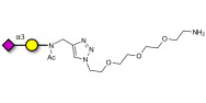 GM4 Ganglioside oligosaccharide with free terminal amine (Linker-NH2 B)