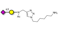 GM4 Ganglioside oligosaccharide with free terminal amine (Linker-NH2 D)