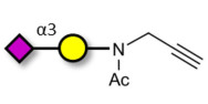GM4 Ganglioside oligosaccharide with terminal alkyne (Linker-CΞCH A)