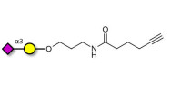 GM4 Ganglioside oligosaccharide with terminal alkyne (Linker-CΞCH C)