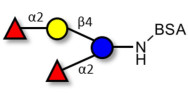2',2-Difucosyllactose grafted on BSA