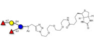 2',2-Difucosyllactose linked to biotin (Linker-BT A)