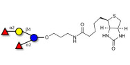 2',2-Difucosyllactose linked to biotin (Linker-BT B)