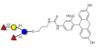 2',2-Difucosyllactose linked to fluorescein (Linker-FLUO A)
