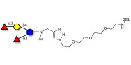 2',2-Difucosyllactose grafted on gel for affinity chromatography (Linker-GEL A)