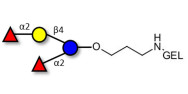 2',2-Difucosyllactose grafted on gel for affinity chromatography (Linker-GEL B)