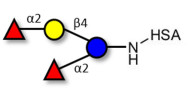 2',2-Difucosyllactose grafted on HSA