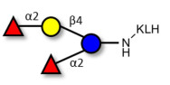2',2-Difucosyllactose grafted on KLH