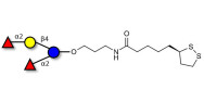 2',2-Difucosyllactose with cyclic di-thiol (Linker-LIPO A)