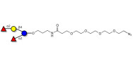 2',2-Difucosyllactose with terminal azide (Linker-N3 A)