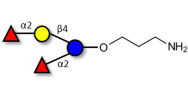2',2-Difucosyllactose with free terminal amine (Linker-NH2 A)