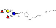 2',2-Difucosyllactose with free terminal amine (Linker-NH2 B)