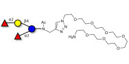 2',2-Difucosyllactose with free terminal amine (Linker-NH2 C)