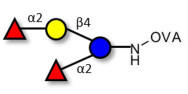 2',2-Difucosyllactose grafted on OVA
