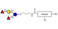 2',2-Difucosyllactose with customizable dual functionalization 
