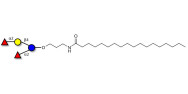 2',2-Difucosyllactose with stearic chain (Linker-STEA A)