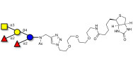 Fucosyl A antigen pentaose type 5 linked to biotin (Linker-BT A)