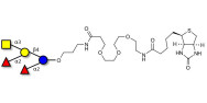 Fucosyl A antigen pentaose type 5 linked to biotin (Linker-BT C)