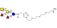 Fucosyl A antigen pentaose type 5 grafted on gel for affinity chromatography (Linker-GEL A)