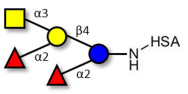 Fucosyl A antigen pentaose type 5 grafted on HSA